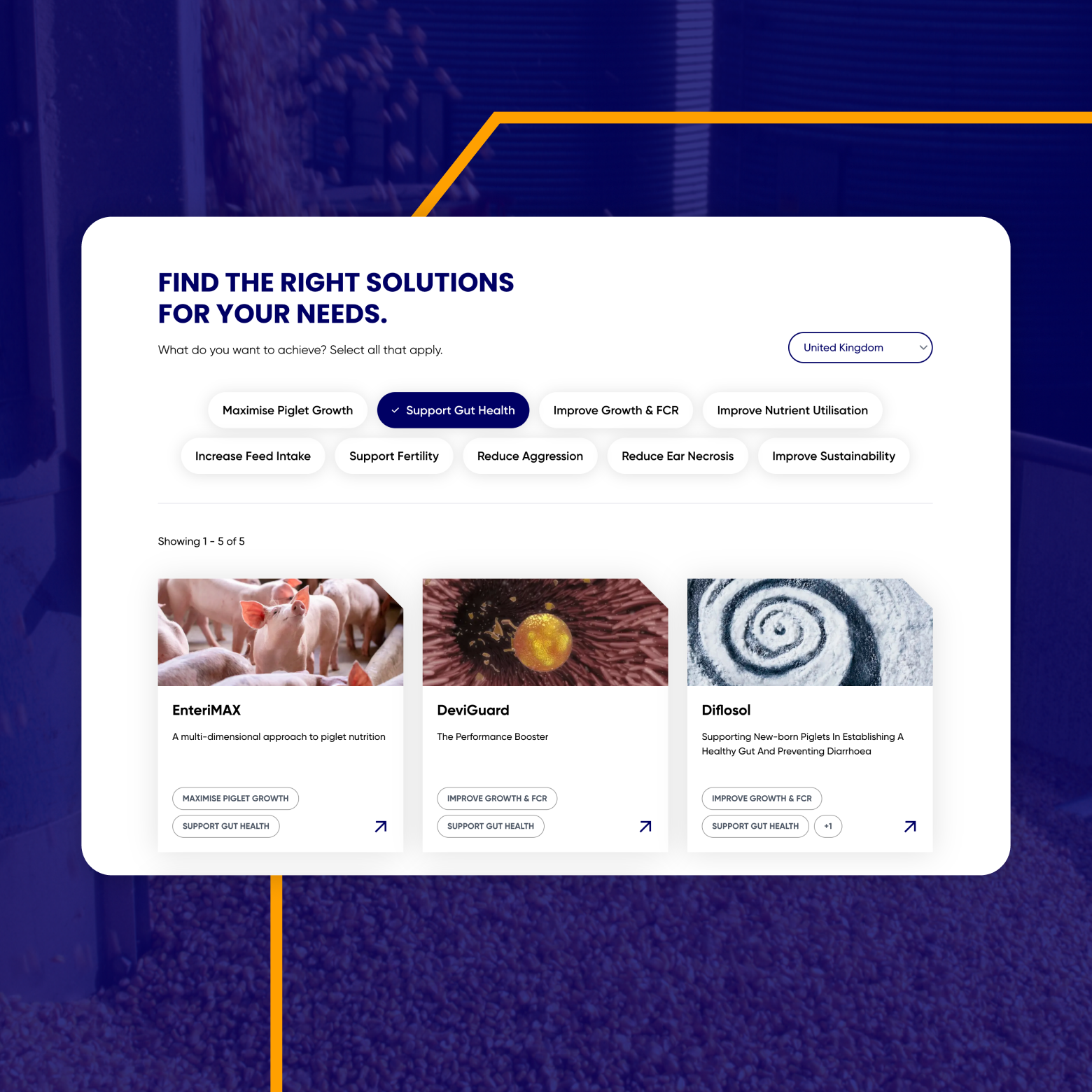 Feature image devenish 2